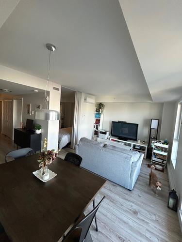 1 bedroom apartment for rent in Québec - Sainte-Foy–Sillery–Cap-Rouge — photo 8