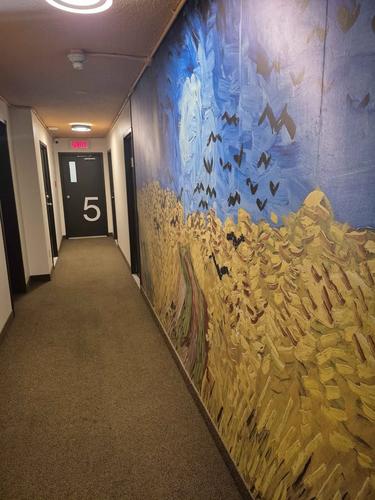 1 bedroom apartment for rent in Montreal - Le Plateau-Mont-Royal — photo 5