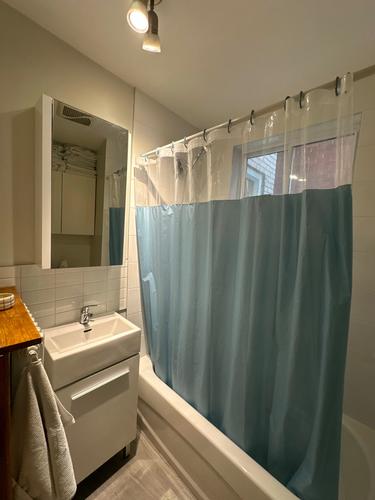 1 bedroom apartment for rent in Montreal - Le Plateau-Mont-Royal — photo 15