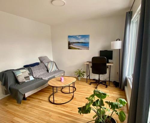 Appartement de 1 chambre à louer à Montreal - Mercier–Hochelaga-Maisonneuve — photo 3