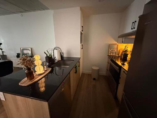 1 bedroom apartment for rent in Québec - La Cité-Limoilou — photo 9