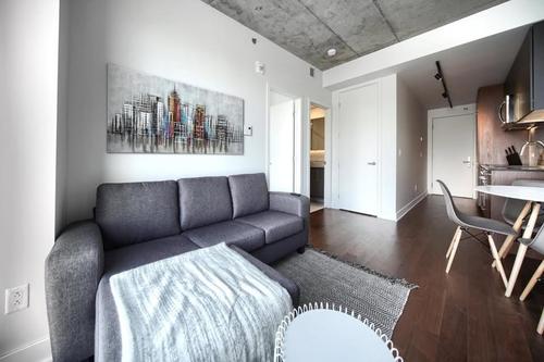 1 bedroom apartment for rent in Montreal - Ville-Marie — photo 7
