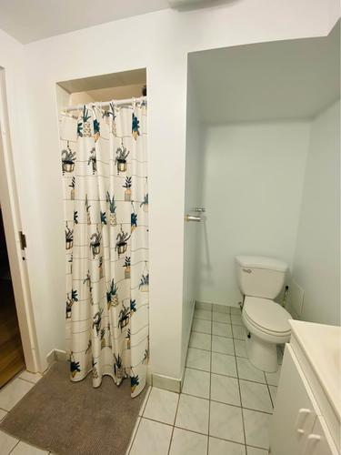 1 bedroom apartment for rent in Montreal - Le Plateau-Mont-Royal — photo 5