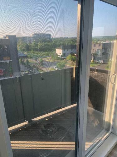 2 bedrooms apartment for rent in Lévis — photo 6