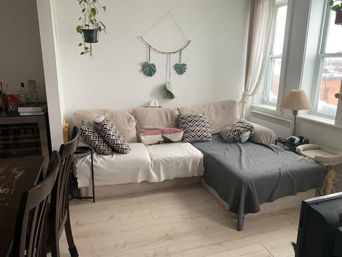 Appartement de 2 chambres à louer à Québec - La Cité-Limoilou — photo 4