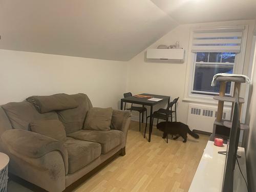 Appartement de 2 chambres à louer à Québec - La Cité-Limoilou — photo 7