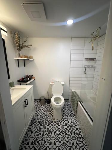 1 bedroom apartment for rent in Montreal - Rosemont–La Petite-Patrie — photo 3