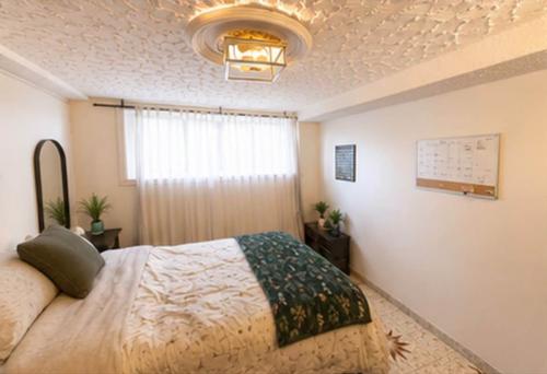 1 bedroom apartment for rent in Montreal - Villeray–Saint-Michel–Parc-Extension — photo 4