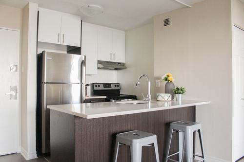 1 bedroom apartment for rent in Montreal - Le Plateau-Mont-Royal — photo 2