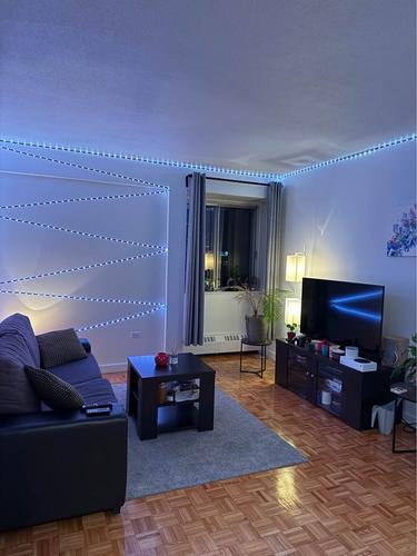 Appartement de 1 chambre à louer à Montreal - Le Plateau-Mont-Royal — photo 2