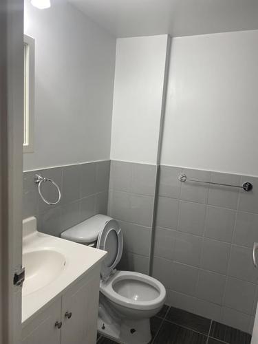 Studio for rent in Montreal - Le Plateau-Mont-Royal — photo 7