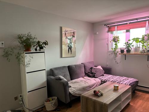 Appartement de 2 chambres à louer à Québec - Beauport — photo 7