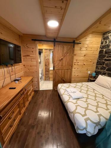 Appartement de 1 chambre à louer à Québec - La Cité-Limoilou — photo 4