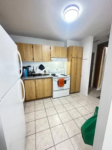 Appartement de 1 chambre à louer à Montreal - Saint-Laurent — photo 10