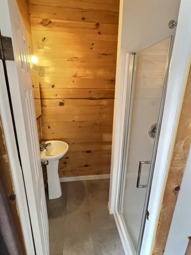 1 bedroom apartment for rent in Québec - La Cité-Limoilou — photo 5