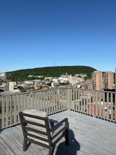 Appartement de 1 chambre à louer à Montreal - Le Plateau-Mont-Royal — photo 17