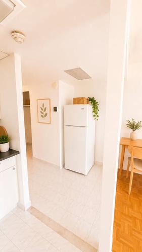 1 bedroom apartment for rent in Montreal - Le Plateau-Mont-Royal — photo 4