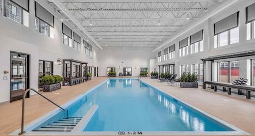 1 bedroom apartment for rent in Lévis — photo 4