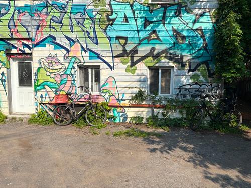 Studio à louer à Montreal - Le Plateau-Mont-Royal — photo 7
