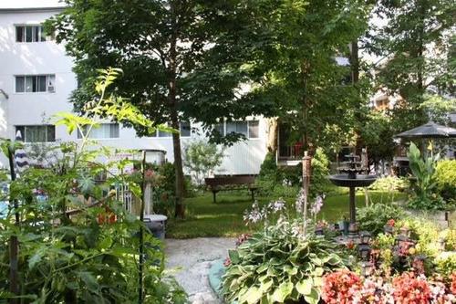 Appartement de 1 chambre à louer à Québec - La Cité-Limoilou — photo 2