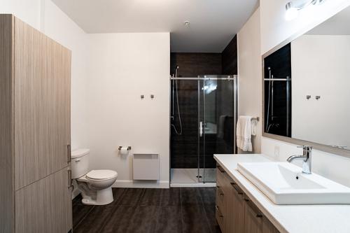 Appartement de 1 chambre à louer à Québec - Les Rivières — photo 7