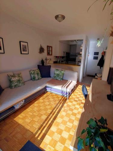 Appartement de 1 chambre à louer à Montreal - Le Plateau-Mont-Royal — photo 3