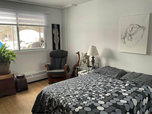 Appartement de 1 chambre à louer à Saint-Lambert (Montérégie) — photo 4