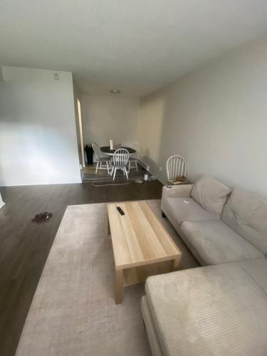 1 bedroom apartment for rent in Gatineau — photo 3