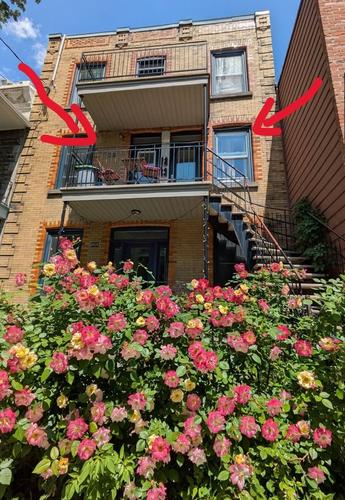 Appartement de 4 chambres à louer à Montreal - Le Plateau-Mont-Royal — photo 9