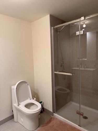 1 bedroom apartment for rent in Montreal - Ville-Marie — photo 5