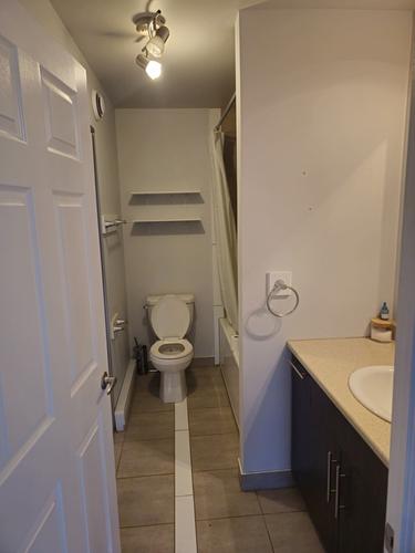 Appartement de 1 chambre à louer à Sherbrooke — photo 4