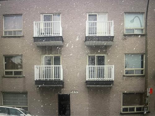 2 bedrooms apartment for rent in Montreal - Ville-Marie — photo 10