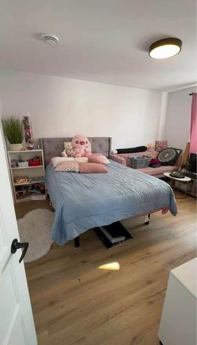 Appartement de 2 chambres à louer à Lévis — photo 6