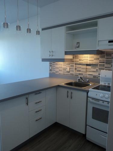 Studio for rent in Montreal - Le Plateau-Mont-Royal — photo 11