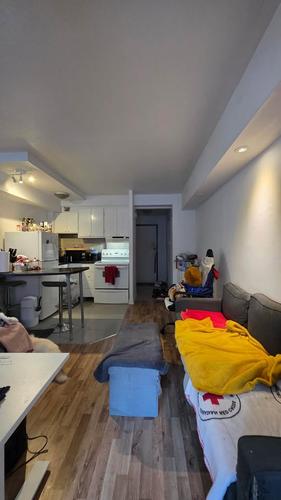 Studio for rent in Montreal - Le Plateau-Mont-Royal — photo 9
