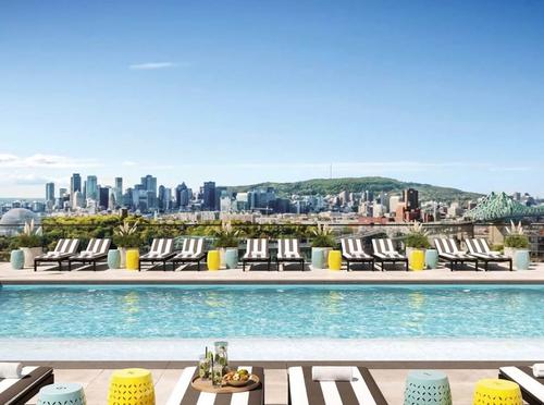 Appartement de 1 chambre à louer à Longueuil — photo 16