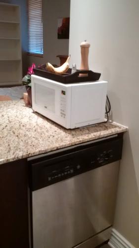 1 bedroom apartment for rent in Montreal - Le Plateau-Mont-Royal — photo 9