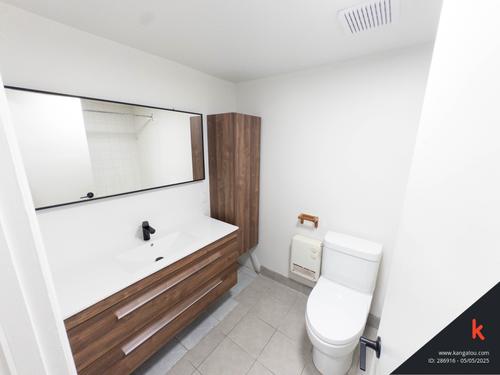 4 bedrooms apartment for rent in Montreal - Le Plateau-Mont-Royal — photo 12