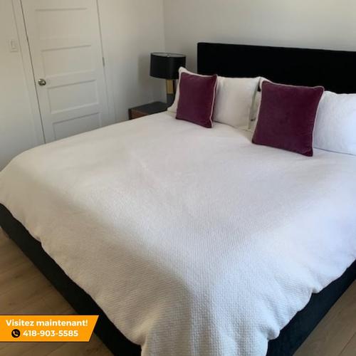 Appartement de 2 chambres à louer à Lévis — photo 16