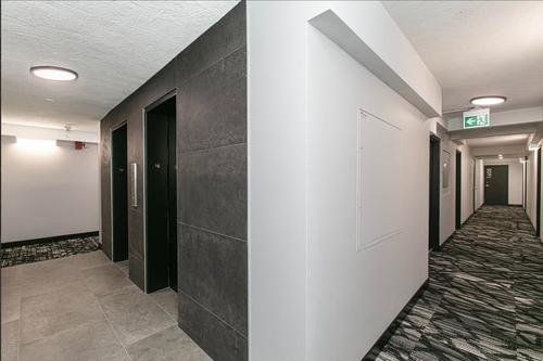1 bedroom apartment for rent in Montreal - Le Plateau-Mont-Royal — photo 4