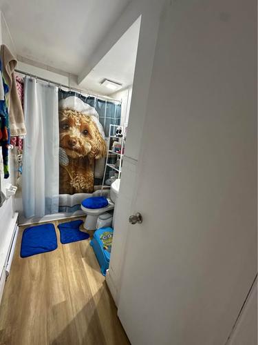 2 bedrooms apartment for rent in Québec - La Cité-Limoilou — photo 4