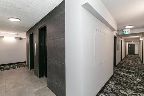 1 bedroom apartment for rent in Montreal - Le Plateau-Mont-Royal — photo 11