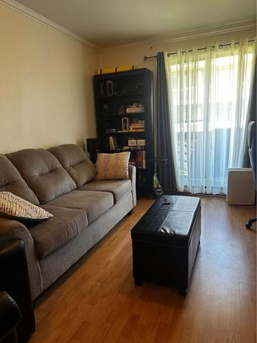 Appartement de 1 chambre à louer à Longueuil — photo 3