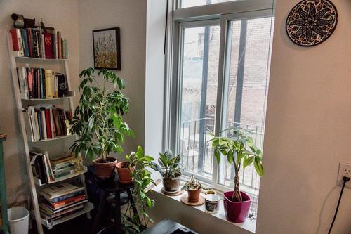 2 bedrooms apartment for rent in Montreal - Le Plateau-Mont-Royal — photo 5