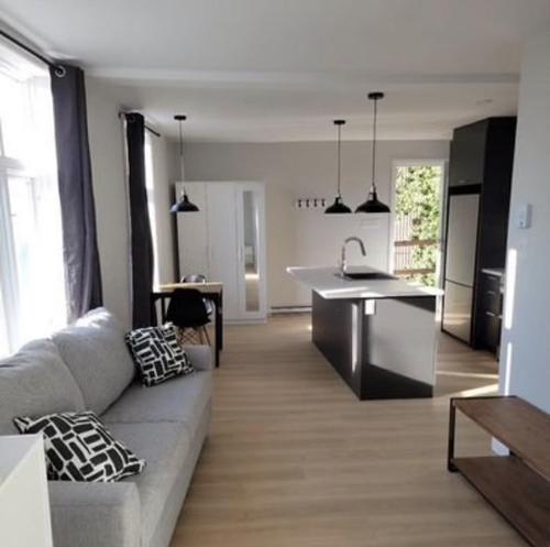 1 bedroom apartment for rent in Québec - La Cité-Limoilou — photo 9