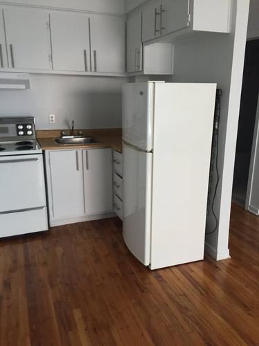 1 bedroom apartment for rent in Montreal - Rosemont–La Petite-Patrie — photo 4