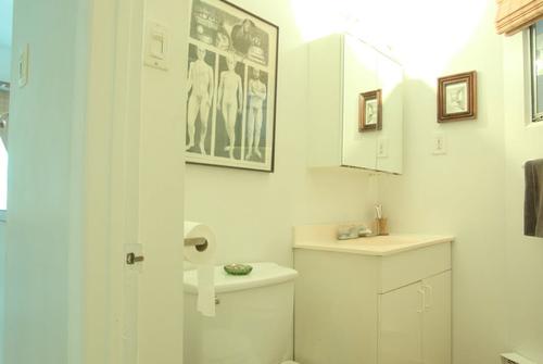 Appartement de 1 chambre à louer à Montreal - Le Plateau-Mont-Royal — photo 4