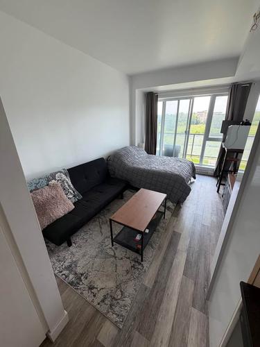 Studio à louer à Québec - Sainte-Foy–Sillery–Cap-Rouge — photo 4
