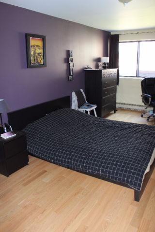 Appartement de 2 chambres à louer à Montreal - Rosemont–La Petite-Patrie — photo 3