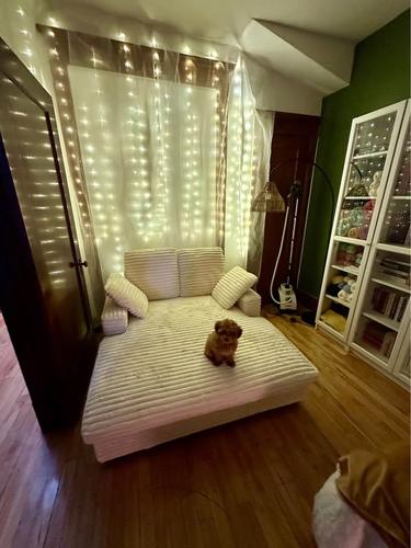 Appartement de 2 chambres à louer à Montreal - Rosemont–La Petite-Patrie — photo 4